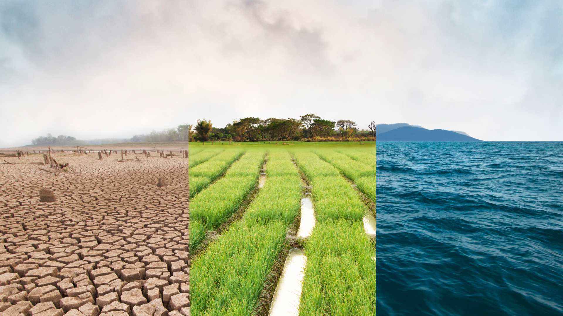 Climate action