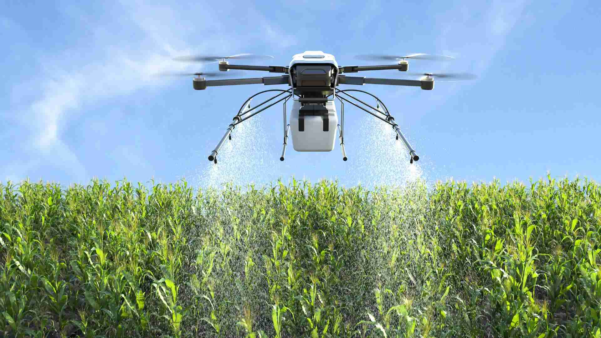Drones & scouting