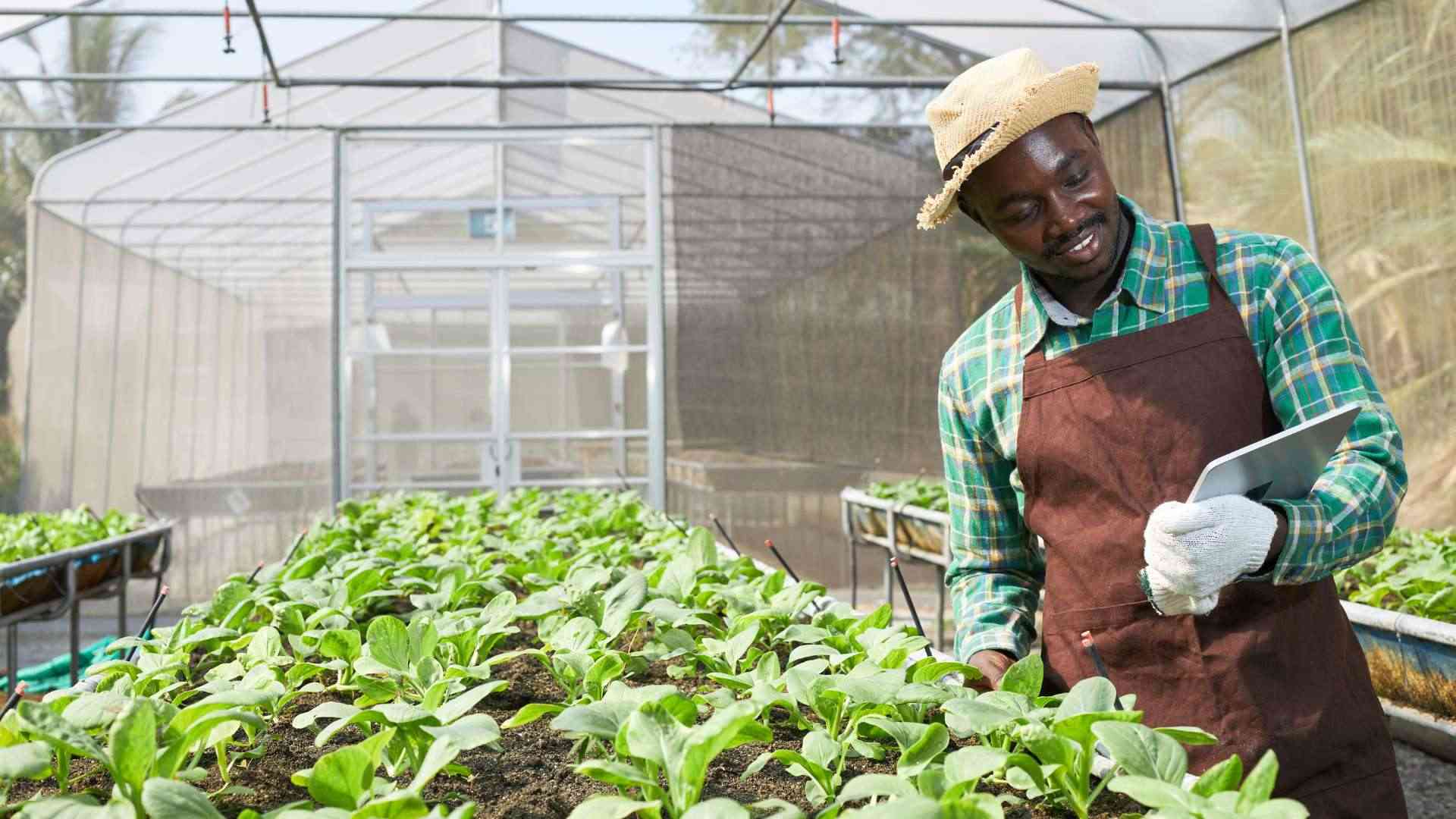 Dadaba Prestige — smart farming and agritech solutions