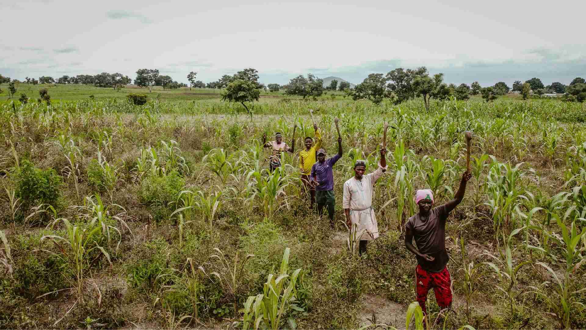 Inclusive growth and communities