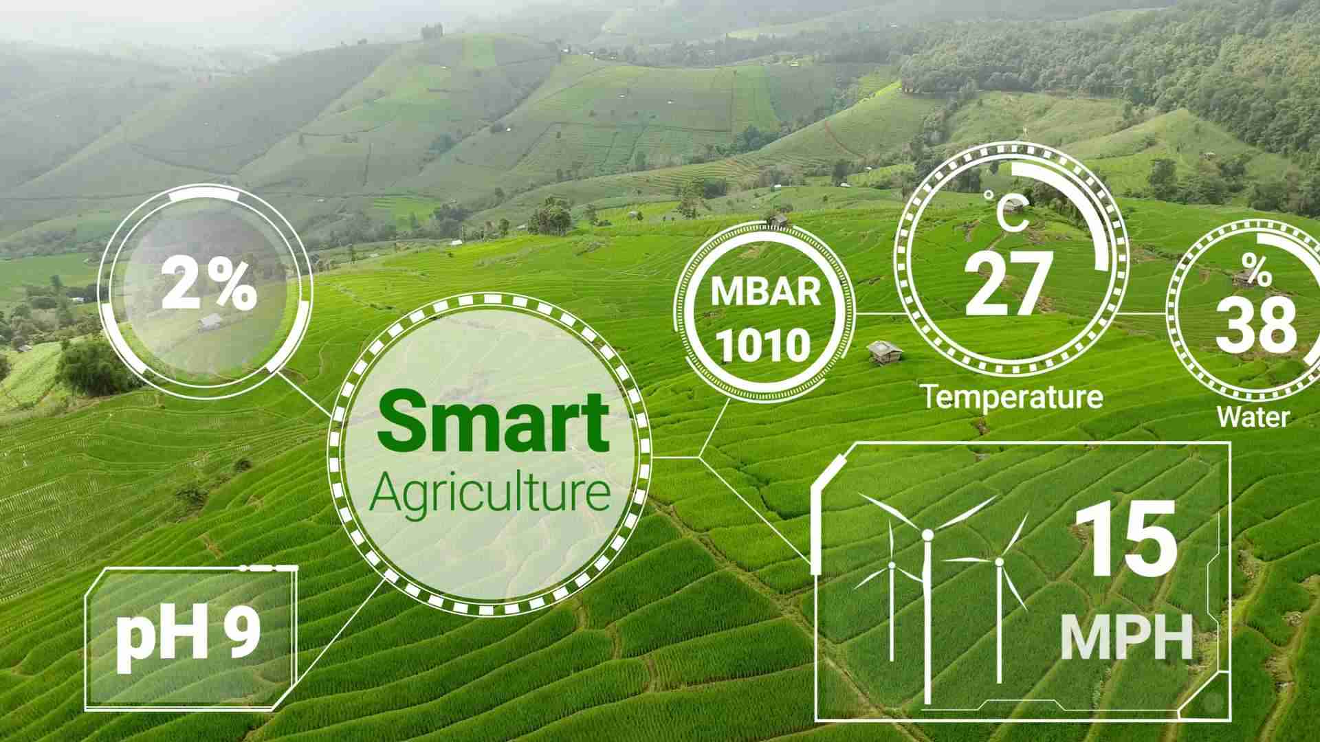 IoT sensors & scheduling
