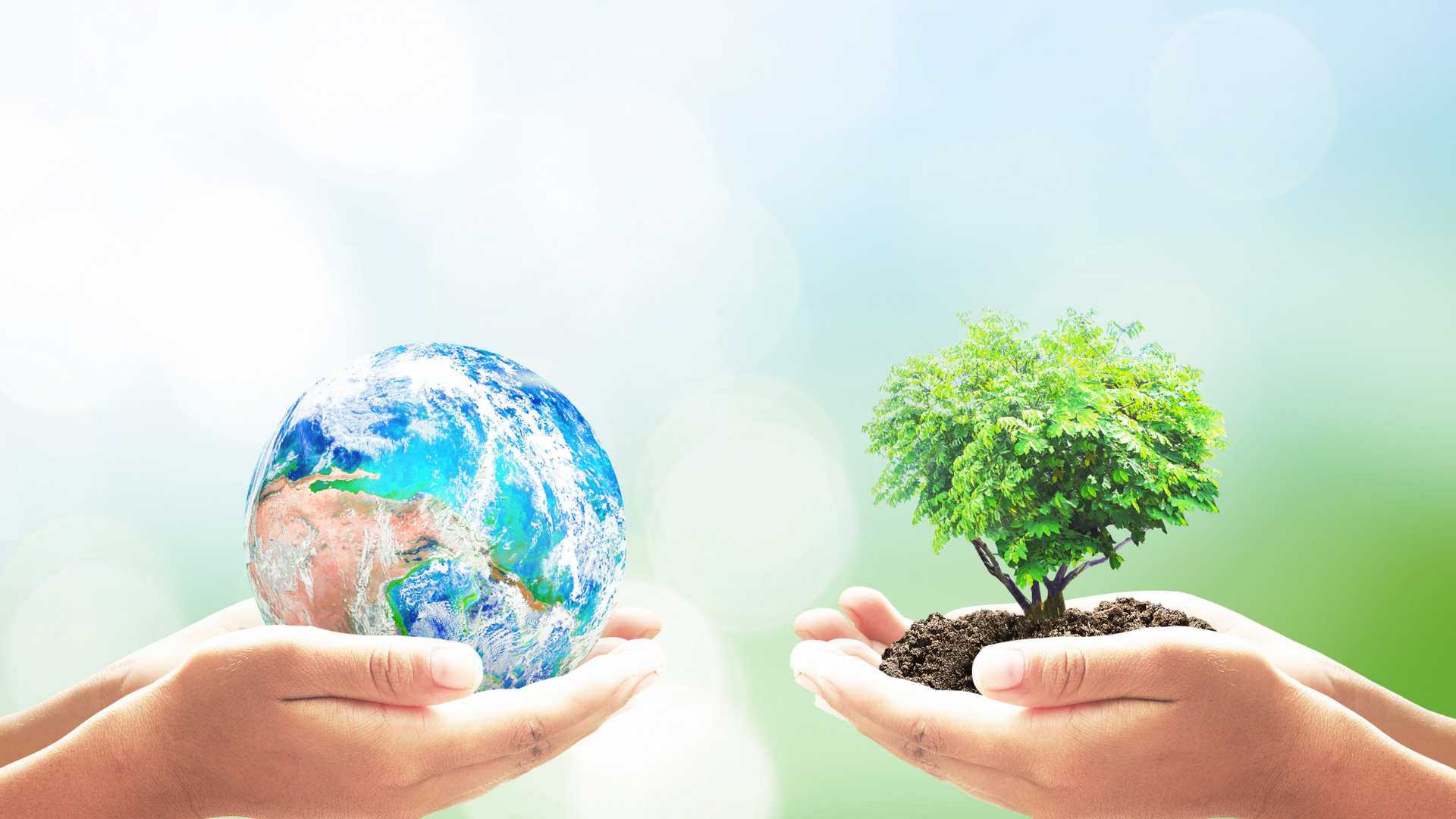 Environmental safety training